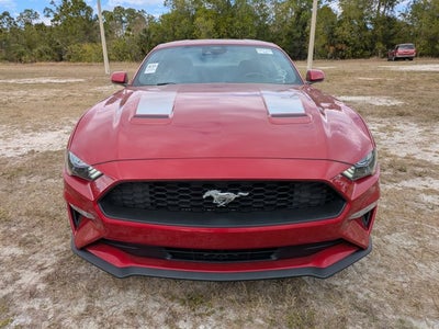 2022 Ford Mustang EcoBoost