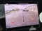 2025 Jeep Grand Cherokee Altitude X 4x2